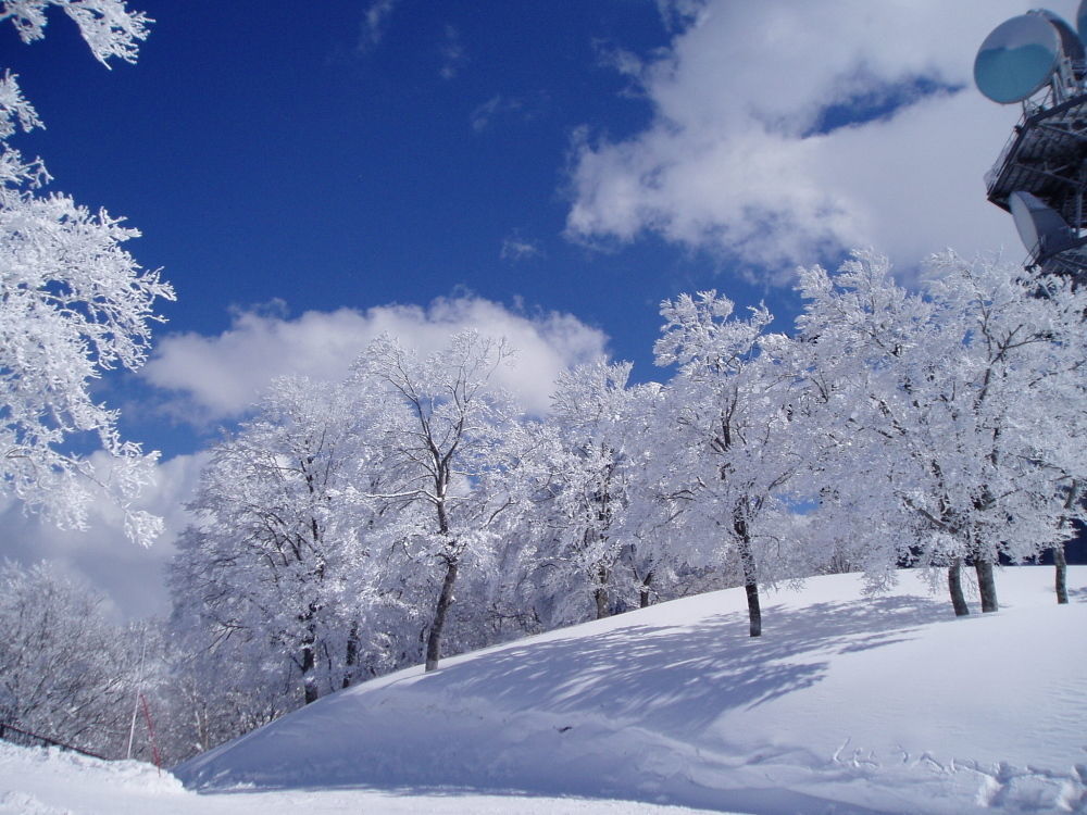 Hospedaje Matsuya Nozawaonsen Exterior foto